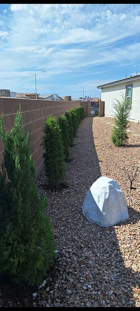 Customer review of Root Rocket® Evergreen Fertilizer