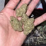 Customer photo of Strawberry Guava THCa Flower