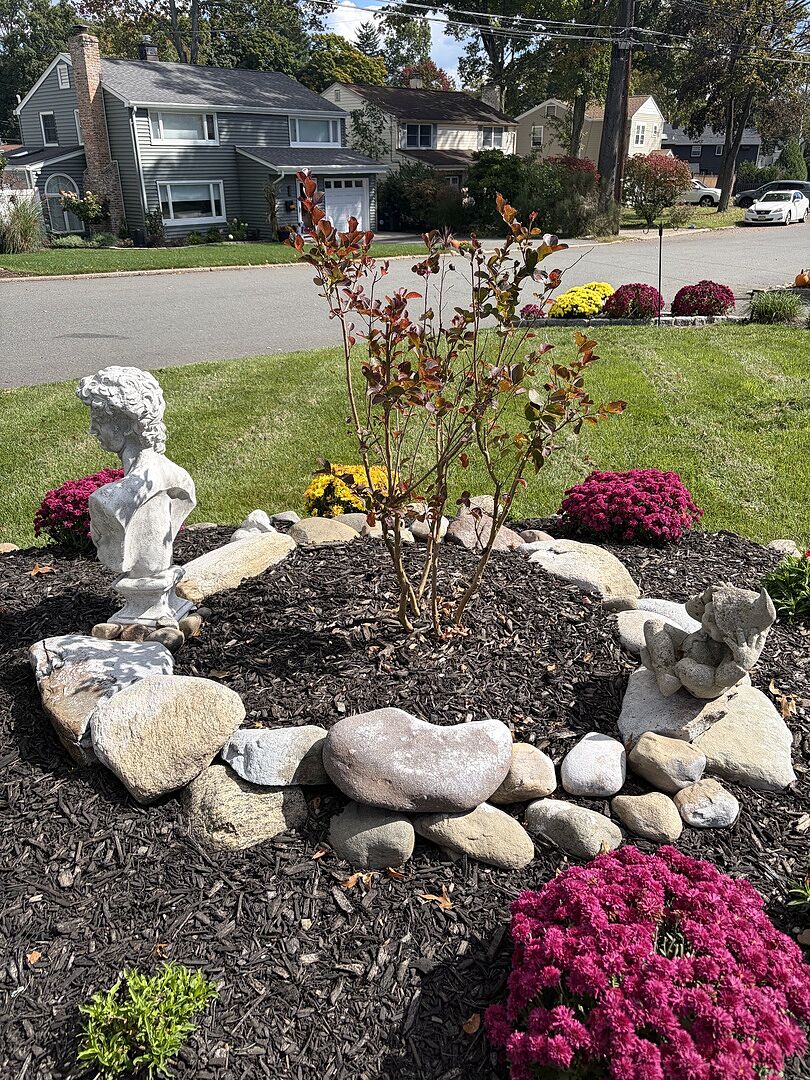 Customer review of Dynamite Crape Myrtle