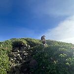 Image of Review by niimi on  6 Oct 2026 number 1