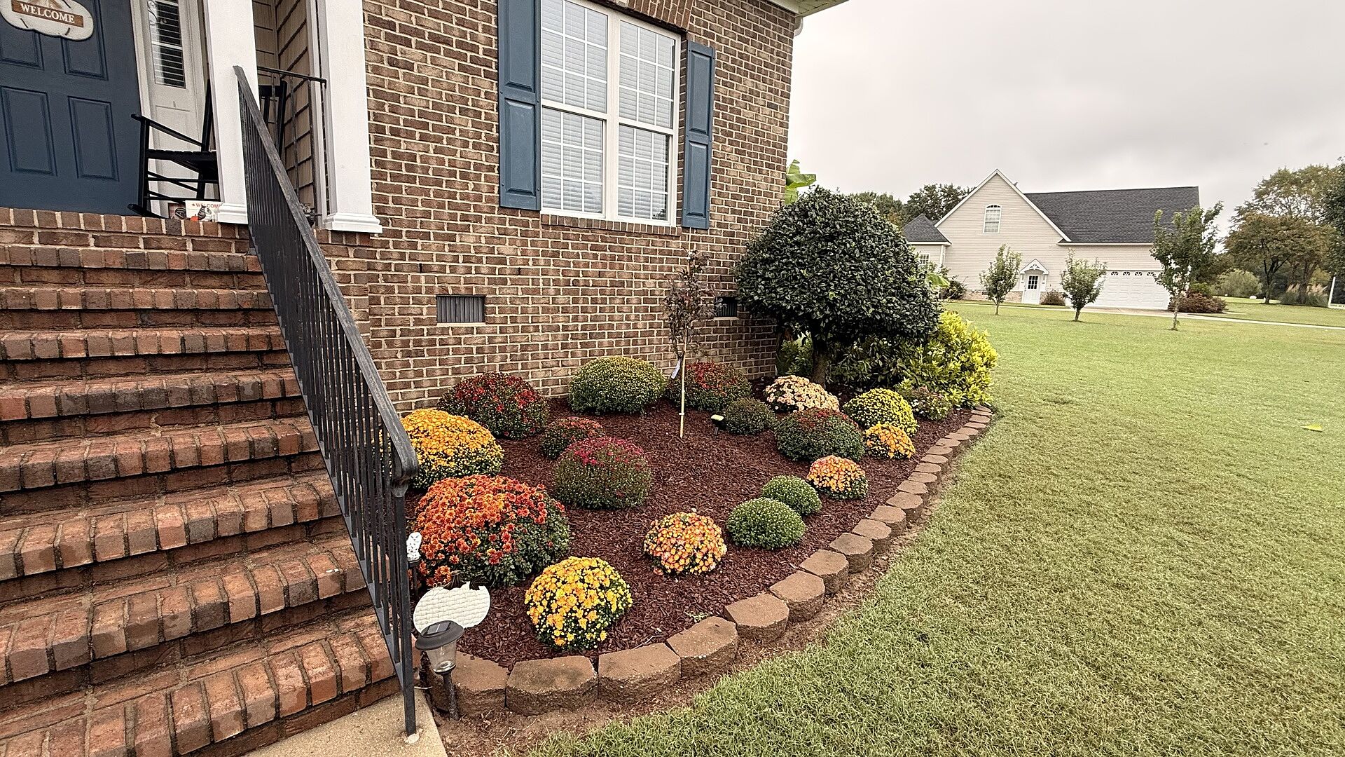 Customer review of Bloodgood Japanese Maple Tree