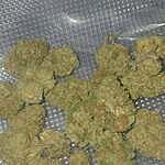 Customer photo of Kush Cake THCa Flower