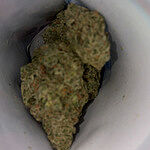 Customer photo of Forbidden Fruit THCa Flower