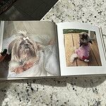 Image of Review by Haley J. on 12 Oct 2026 number 1