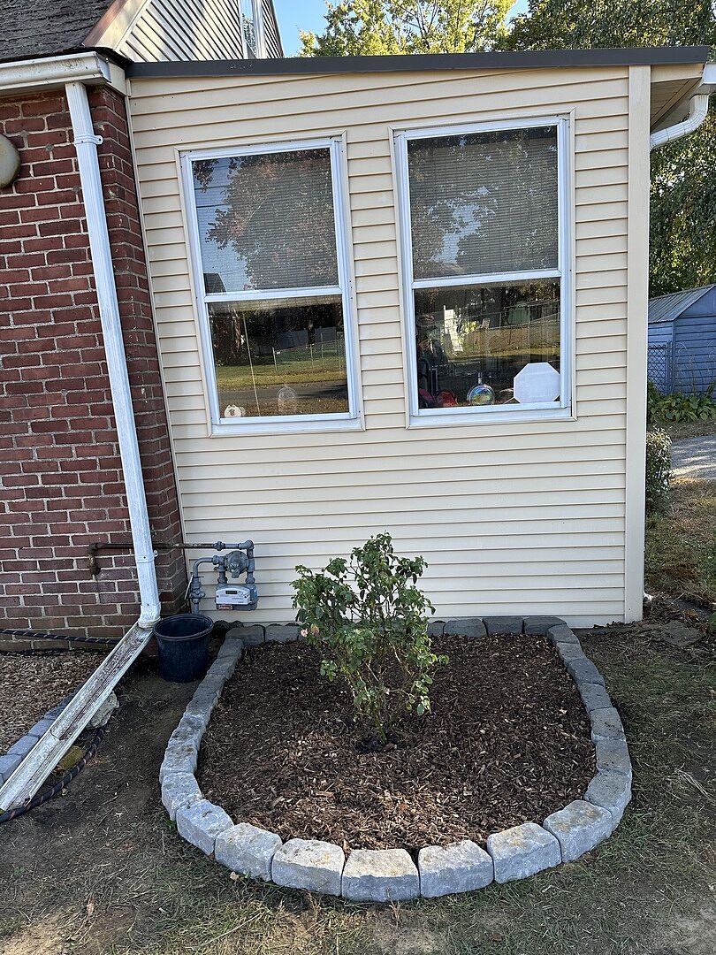 Customer review of Orange Glow Knock Out® Rose