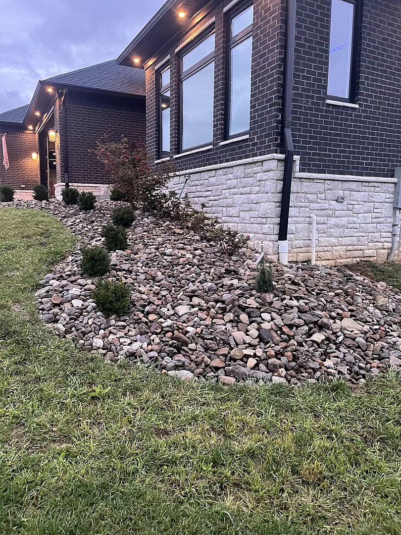 Customer review of Weeping White Spruce Tree