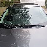 Image of Review by Otto B. on 16 Oct 2026 number 1