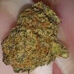 Customer photo of Peanut Butter Cookies THCa Flower