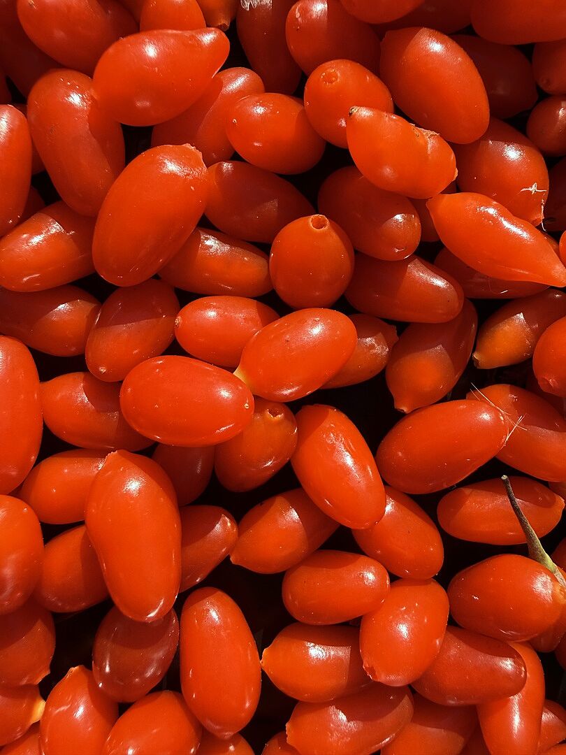 Customer review of Goji Berry Plant
