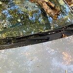 Image of Review by Eleni W. on 25 Oct 2026 number 4