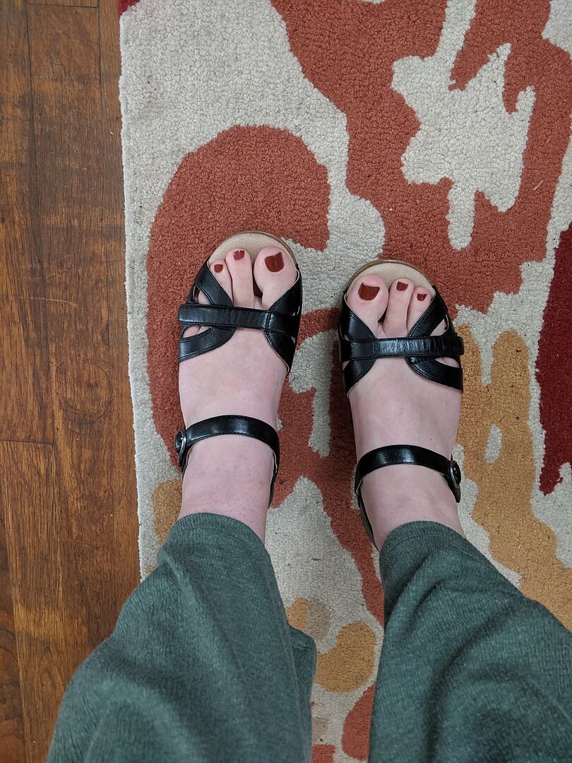 dansko season camel