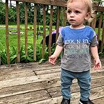Image of Review by angela f. on  6 Jun 2019 number 1