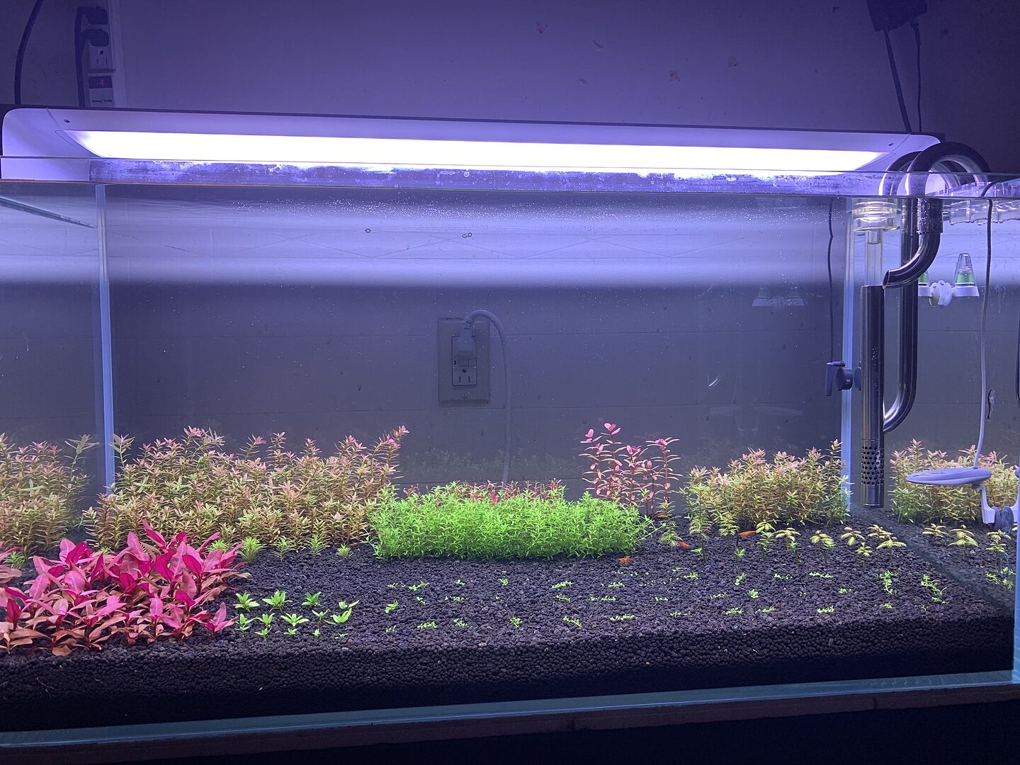 ONF Flat ONE Plus LED Light For Planted Aquariums Phone App Control