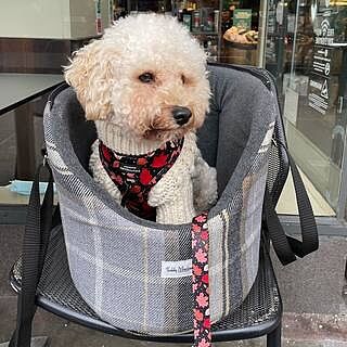 The Belgravia Adjustable Black Plaid Tweed Luxury Dog Carrier