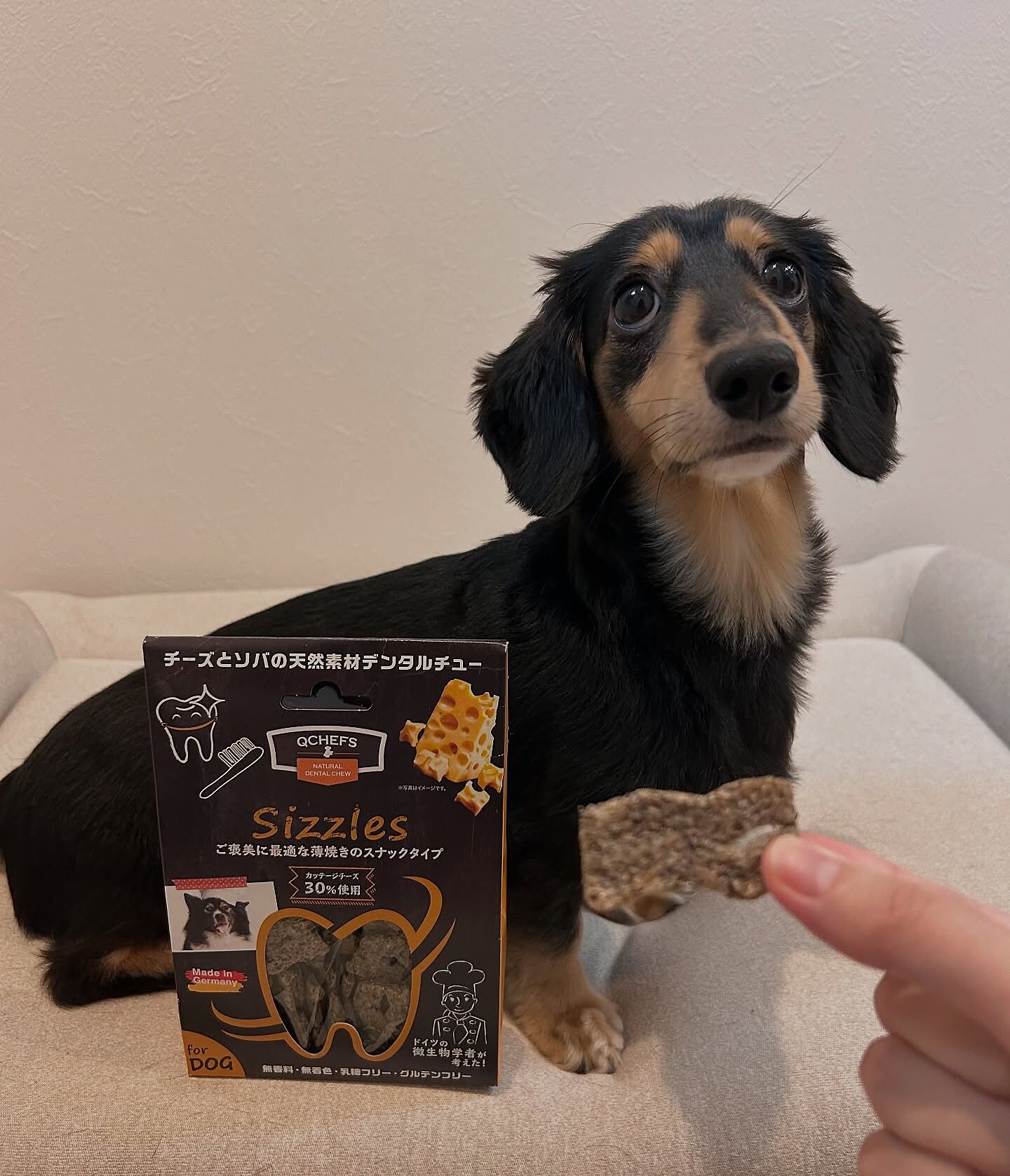 Sizzles シズル-チーズの歯磨きおやつ｜QCHEFS Japan（キューシェフス）