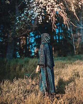 Women's Festival Kimono | Emerald Green Tiger - SpiritHoods