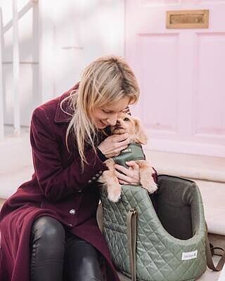 Explorer NEW! Olive Buckle Dog Harness