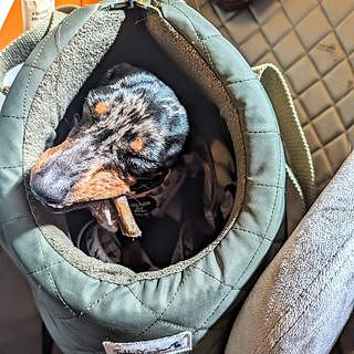 'The Explorer' Quilted Comfort Luxury Dog Carrier