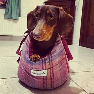 Pink Sheltie Adjustable Plaid Luxury Dog Carrier