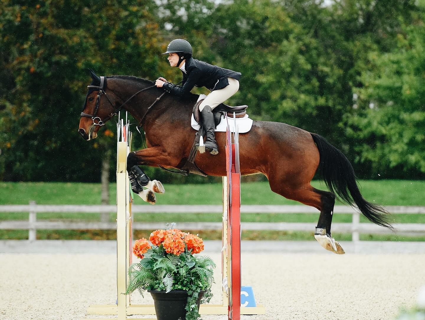 green show jumping jacket