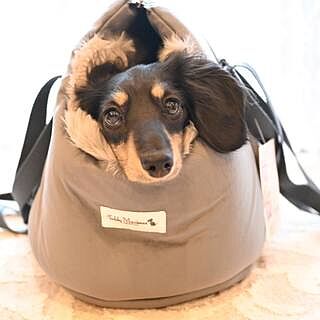 'The Louis' Luxe Grey Velvet Luxury Dog Carrier