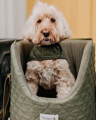 'The Explorer' Quilted Comfort Luxury Dog Carrier