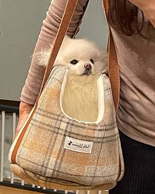 Sand Sheltie Luxury Dog Carrier