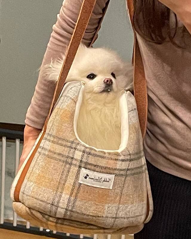 Sand Sheltie Luxury Dog Carrier