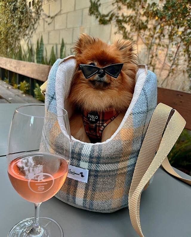 Sand Sheltie Adjustable Plaid Tweed Luxury Dog Carrier