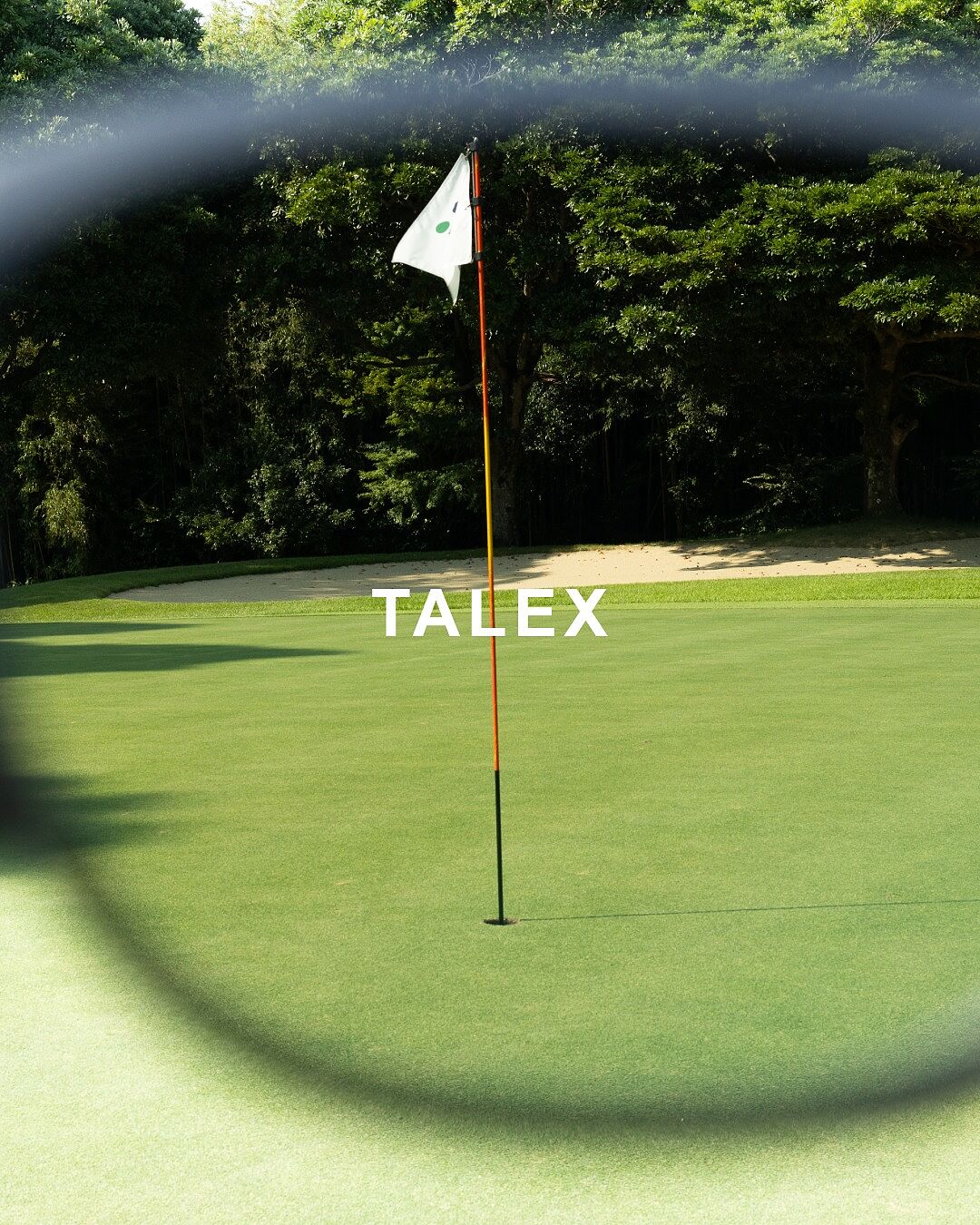 TALEX online store【公式】