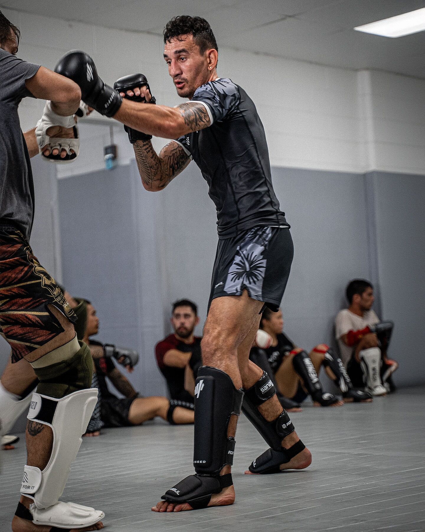 Sanabul Exclusive Max Holloway Aloha Roots Training Kit Sanabul Exclusive Max Holloway Aloha Roots Training Kit