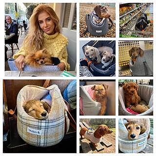 'The Melody' Pink & Grey Luxury Dog Carrier