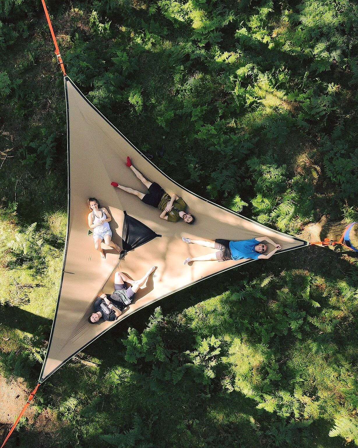 Safari Trillium XL 6-Person Camping Hammock | Now Even