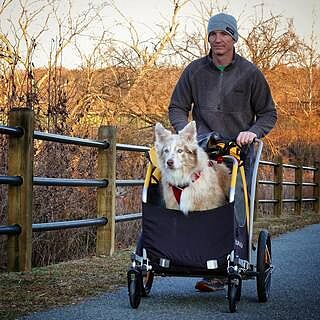 burley tail wagon stroller kit