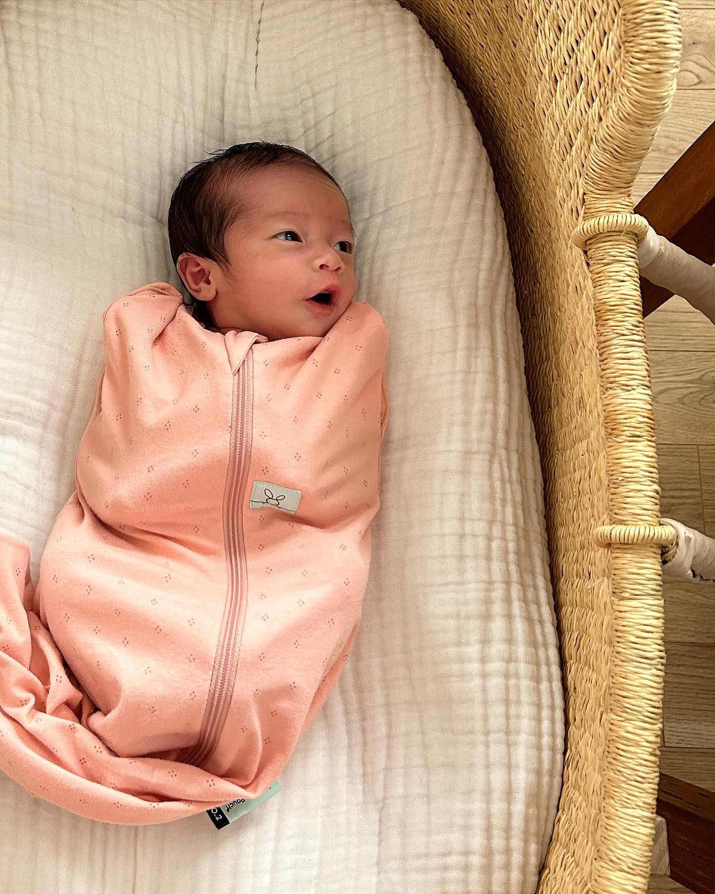 Cocoon Swaddle Bag 0.2TOG コクーンスワドルバッグ （新生児