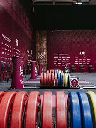 ELEIKO チェンジプレート IWF公認品 — MBC POWER SHOP