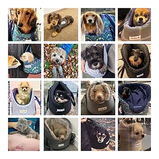 Liberty Print Luxury Adjustable Dog Carrier With Waterproof Base