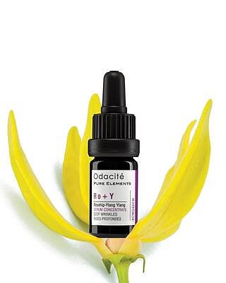 Amazon.co.jp: DECENCIA Ayanus, Wrinkle O/L, Concentrate, 1.0