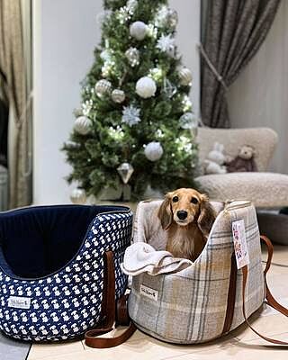 Sand Sheltie Luxury Dog Carrier