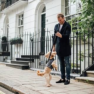 'The Marylebone' Grey Webbing Narrow Luxury Dog Lead