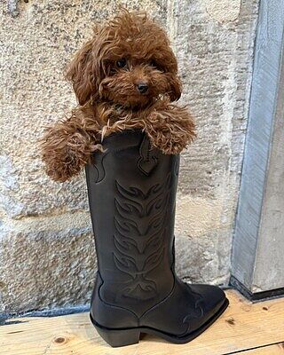 Dolly Western Leather Boots