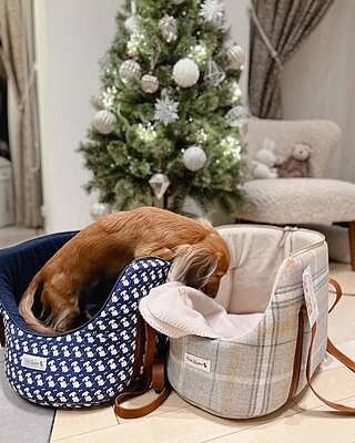 Sand Sheltie Luxury Dog Carrier