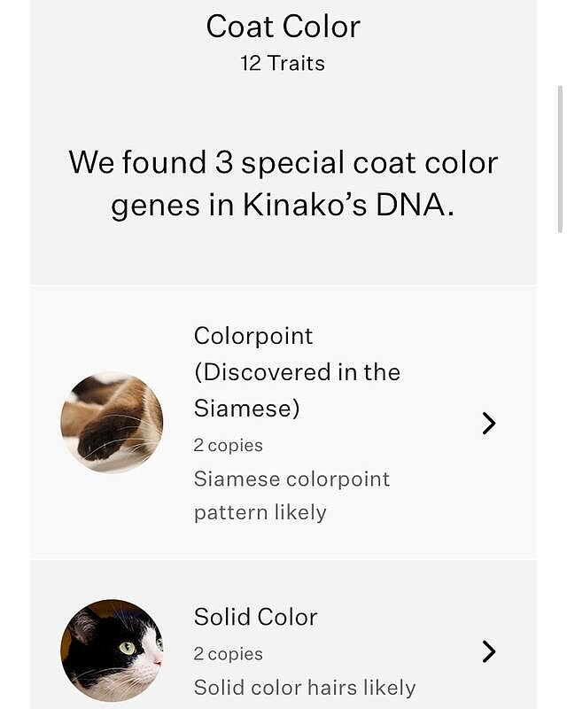 banfield wisdom panel