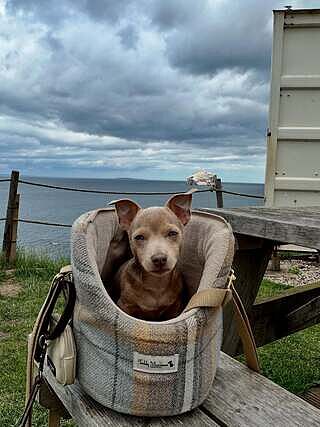 Sand Sheltie Adjustable Plaid Tweed Luxury Dog Carrier