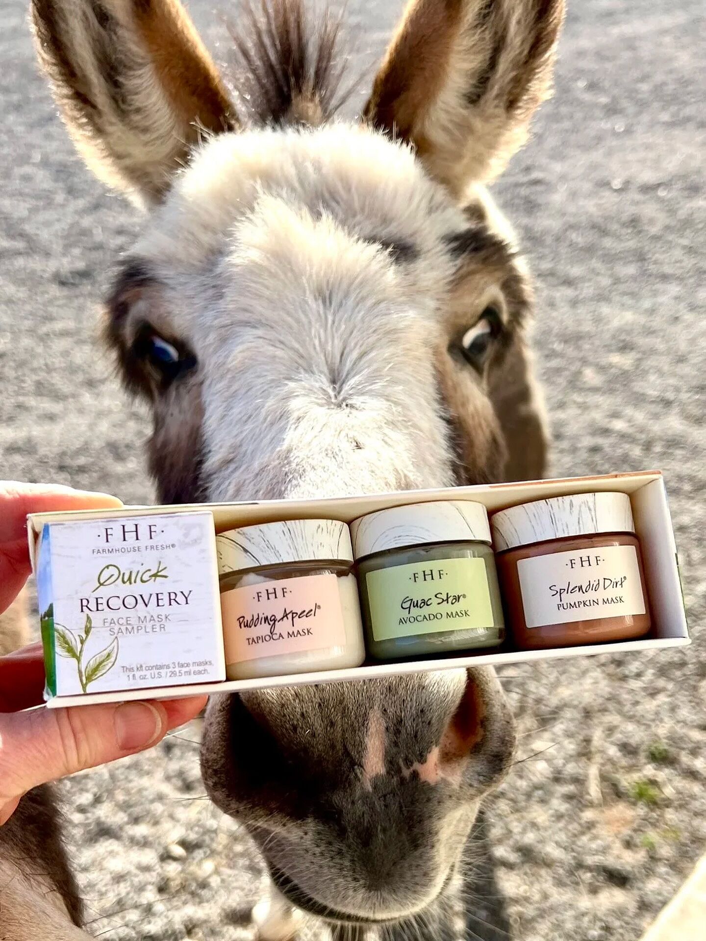 FarmHouse Fresh® Quick Recovery Face Mask Sampler