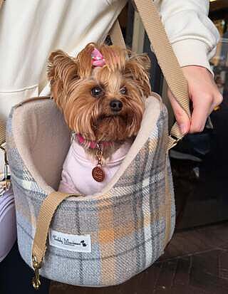 Sand Sheltie Adjustable Plaid Tweed Luxury Dog Carrier