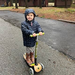 Globber Primo Foldable Wood 3 Wheeled Scooter with Lights