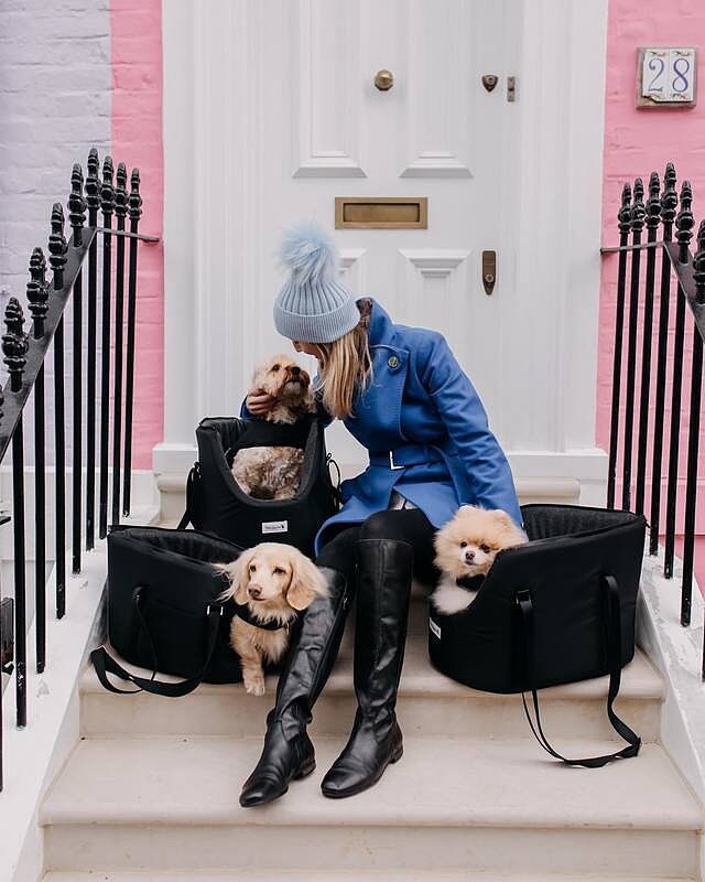 'The Adventurer' Waterproof Adjustable Luxury Dog Carrier