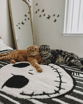 CozyChic® Disney Jack Skellington Throw | Barefoot Dreams®