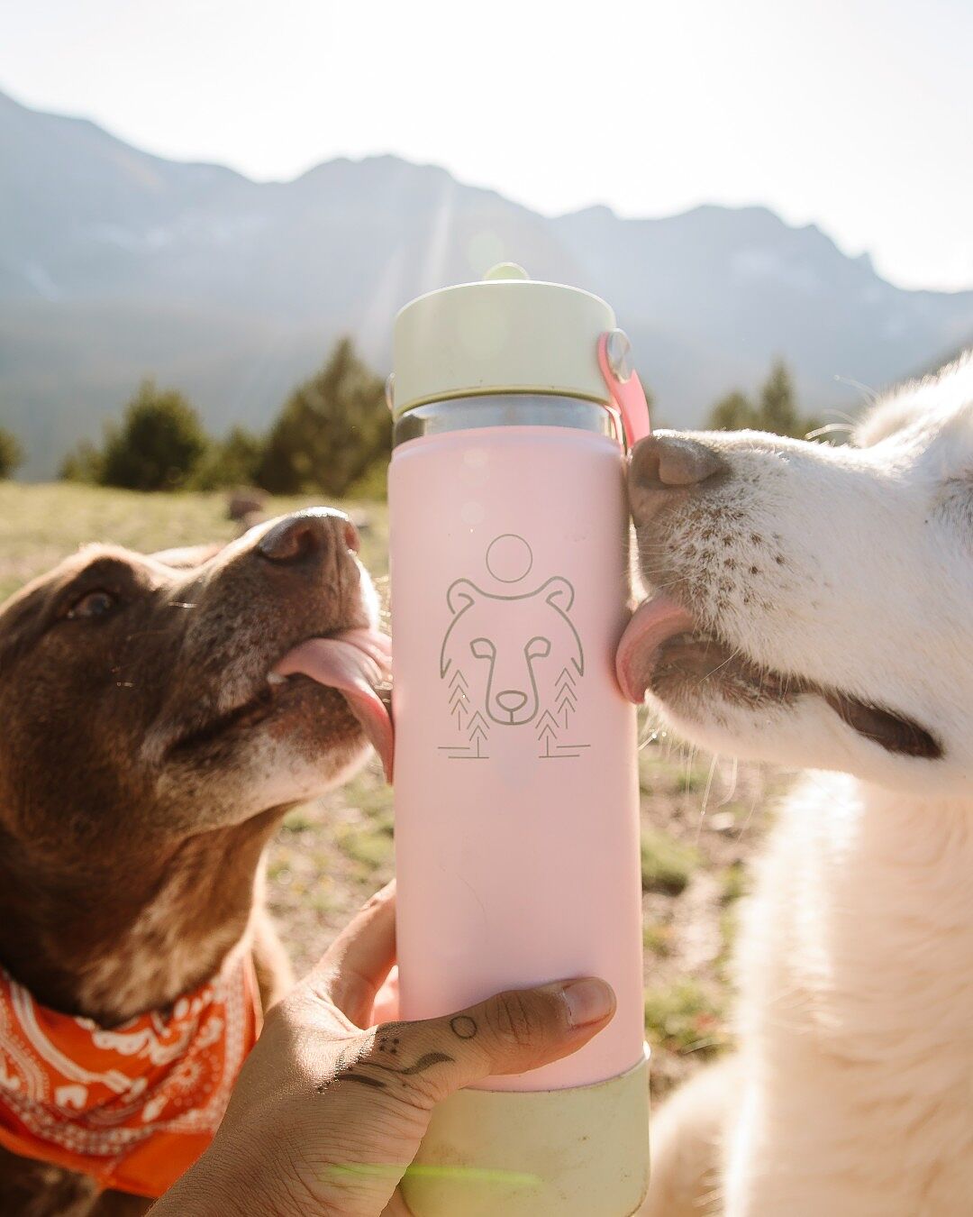 HydroFlask - ystyle　新品 Hydro Flask 3.79L/128oz Amazon.com : Hydro Flask 128 oz. Oasis Water Jug Stainless